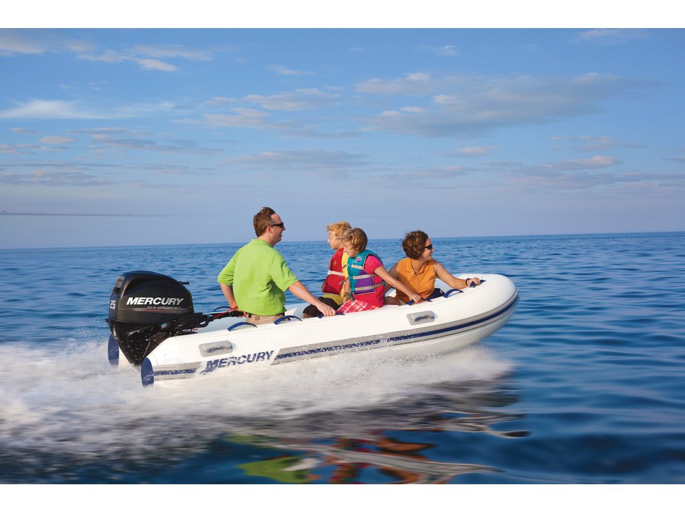 Mercury Inflatable Boat Dealer in Mumbai
/>
								<div class=